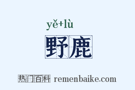 野鹿是什么意思的图片